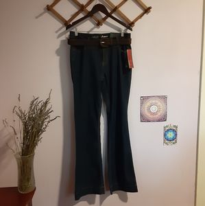 NWT Apt. 9 Fit and Flare Denim With Belt Sz 10L